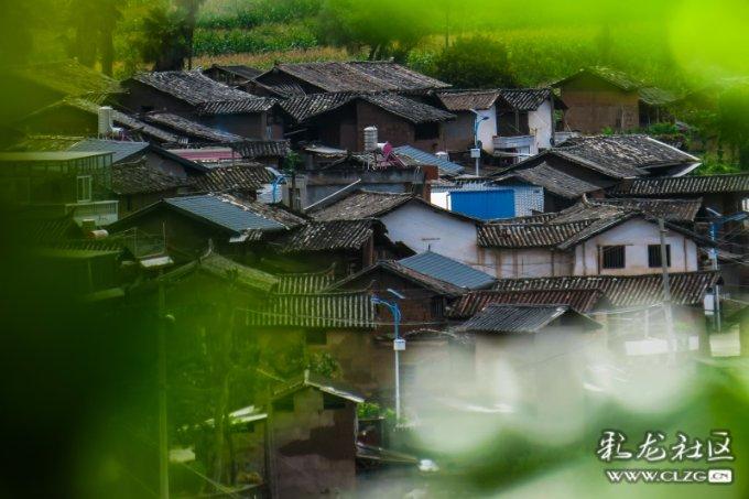 烟台推出26条举措促进个体工商户发展